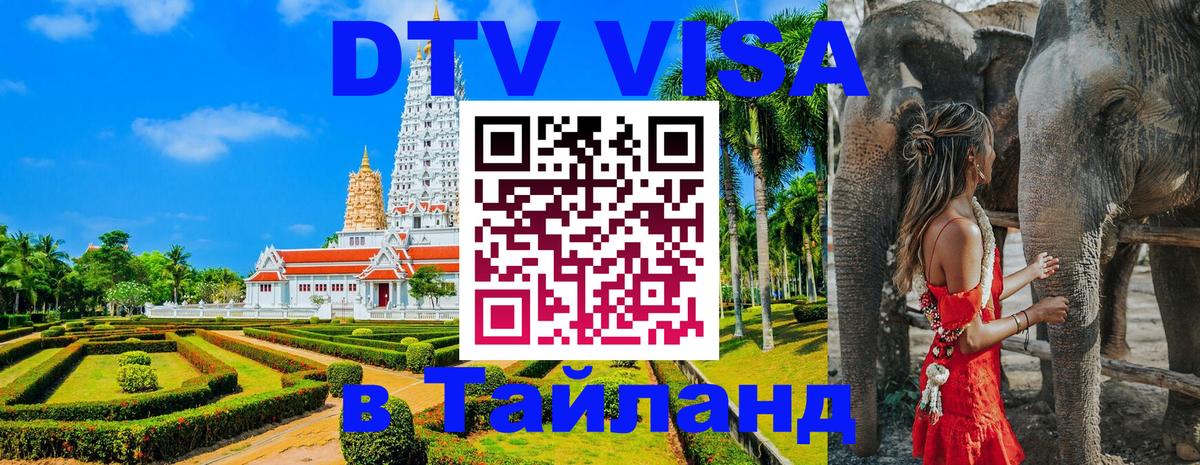 Оформление DTV визы под ключ: стоимость и тарифы, только загранпаспорт - Тольятти  19.11.2025 